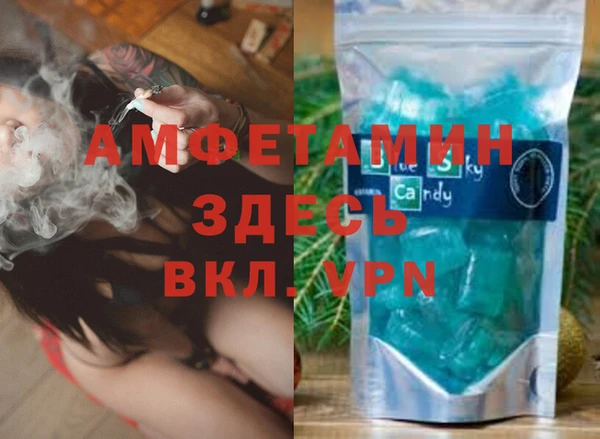 гидра Алексин