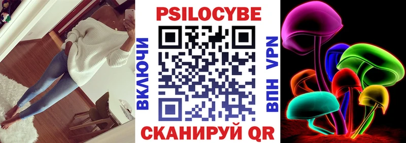 Галлюциногенные грибы Psilocybe  Кадников 